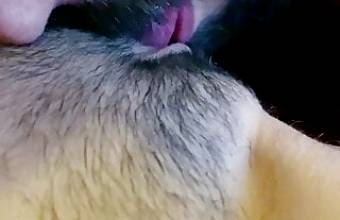 He eats my pussy gently and I cum in his beard (GIRL POV)